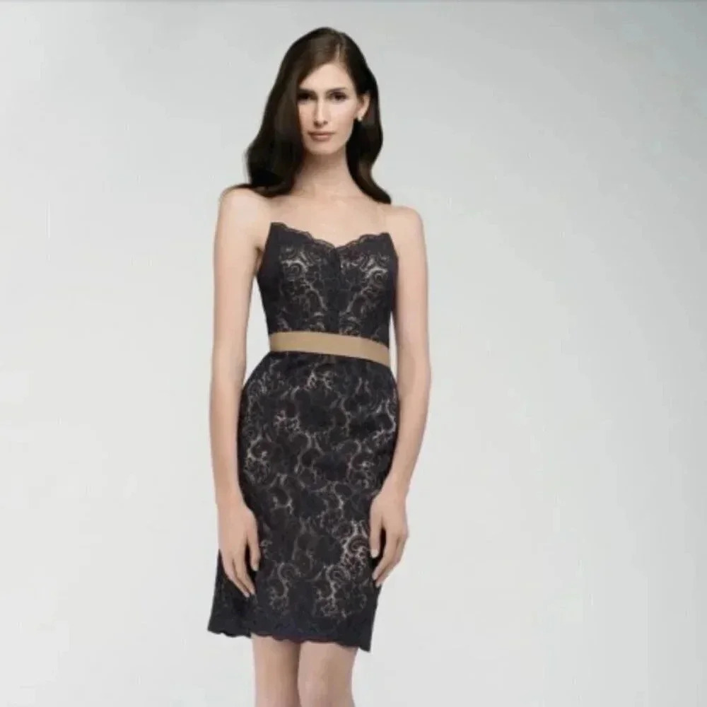 NEW Watters & Watters Krizia Sleeveless Bella Lace Dress Size 8